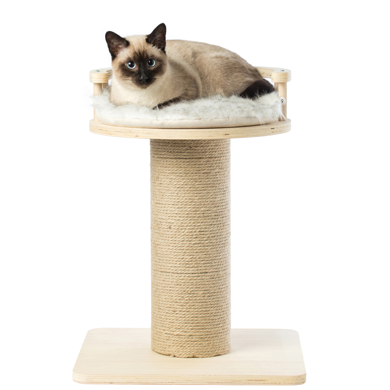 Furrytail Cute Table Shape Cat Tree Tower Scratching Post with Cat House Bed Condo Solid Wood Made Light Green Color Scandinavian Style 