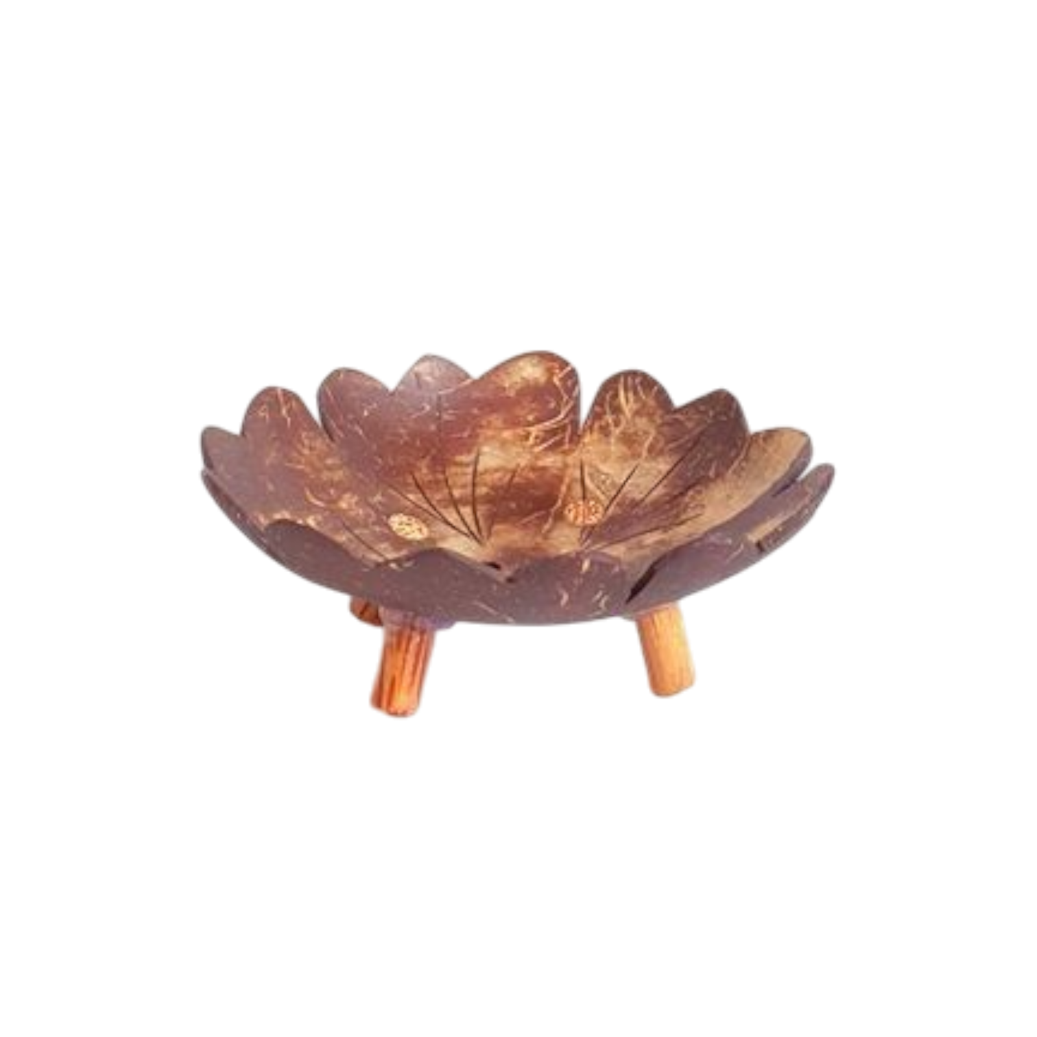 STCD259-1 Coconut Soap Dish