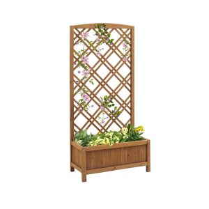 Wooden Raised Bed with Trellis